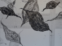 Feuille2