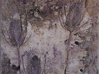 Tiges3