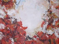 Poppies